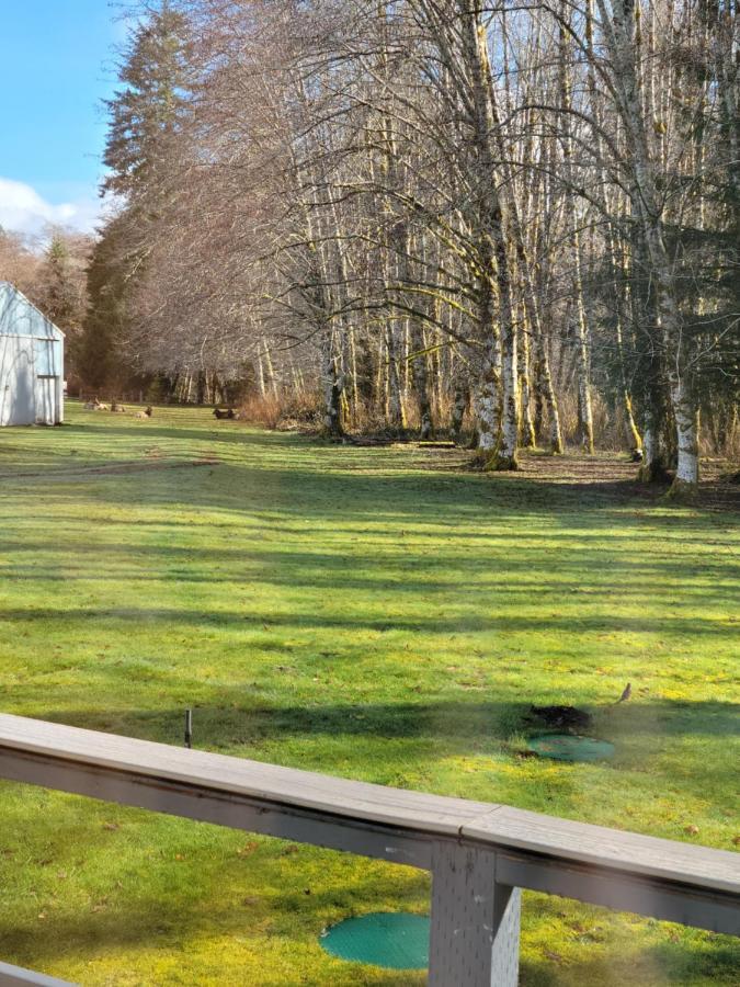 A Relaxing Getaway-A Backwoods Cabin Solduc River Beaver Buitenkant foto